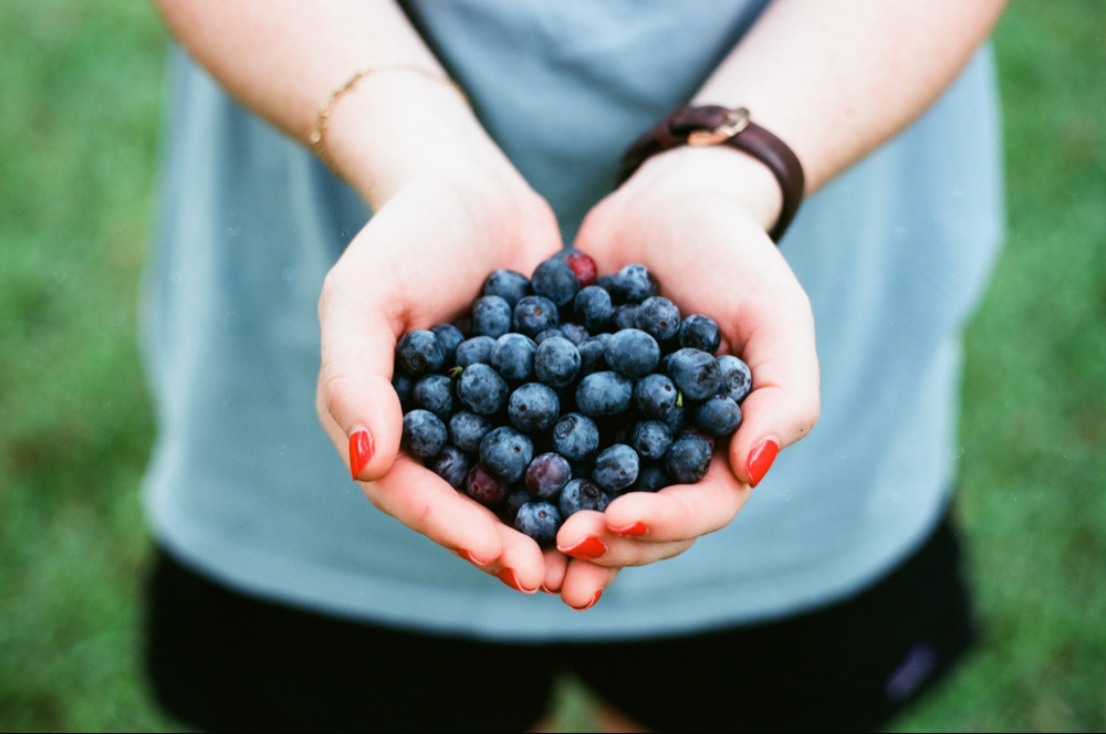 A person holding a large handful of blueberries in both hands